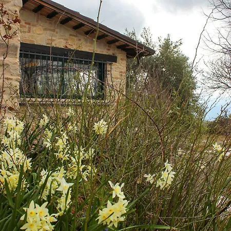 At Aunt Daniela House Oasis On Silence Villa Porchiano (Terni)