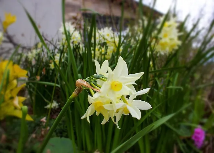 At Aunt Daniela House Oasis On Silence Вилла Porchiano (Terni)
