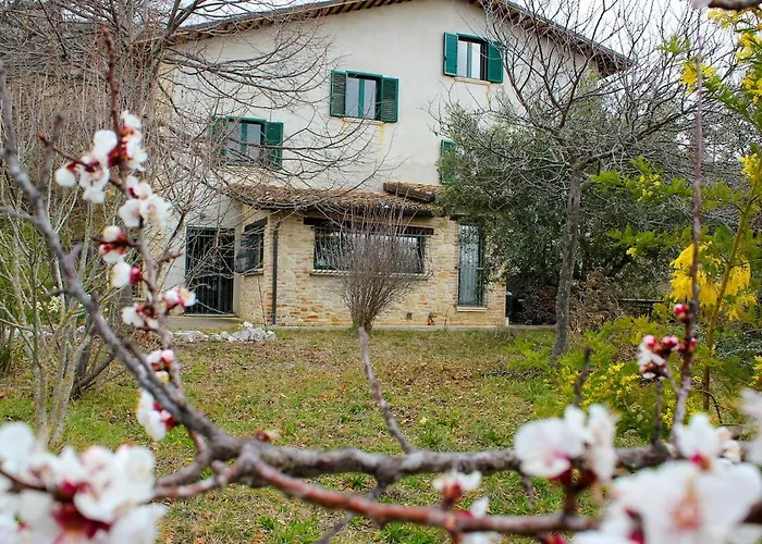 At Aunt Daniela House Oasis On Silence *