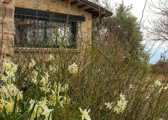 At Aunt Daniela House Oasis On Silence Вилла Porchiano (Terni)