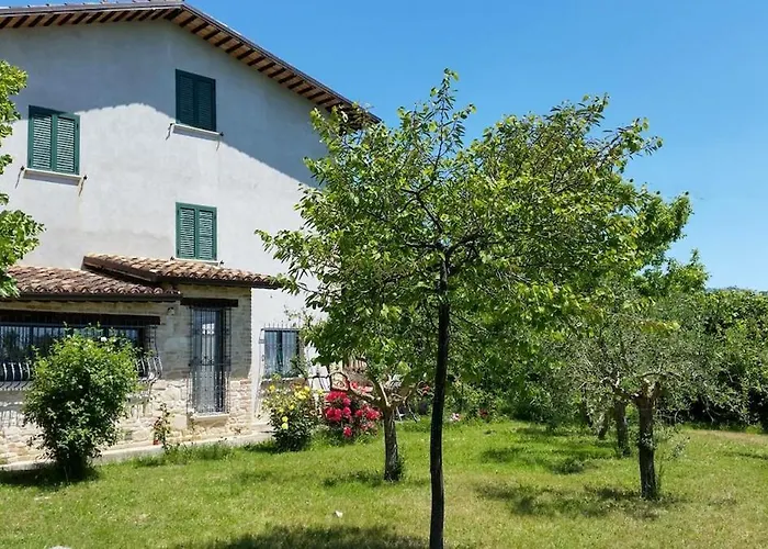 At Aunt Daniela House Oasis On Silence