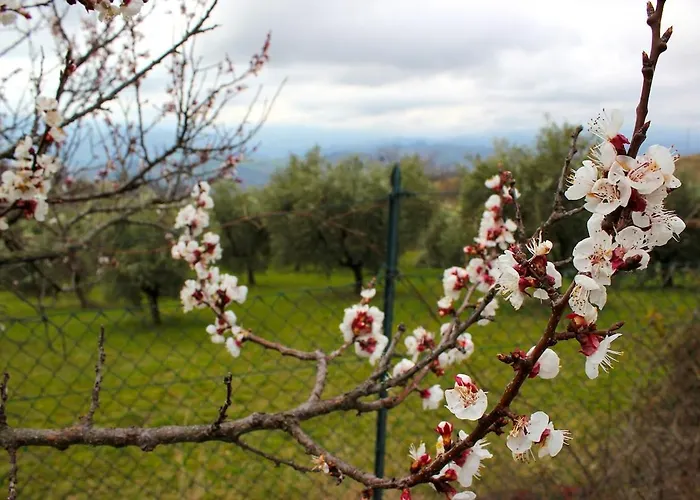 Вилла At Aunt Daniela House Oasis On Silence *